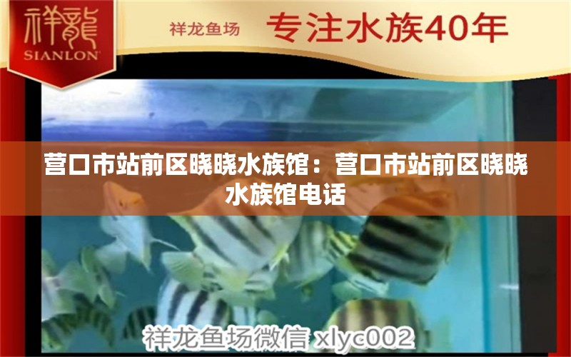 营口市站前区晓晓水族馆：营口市站前区晓晓水族馆电话