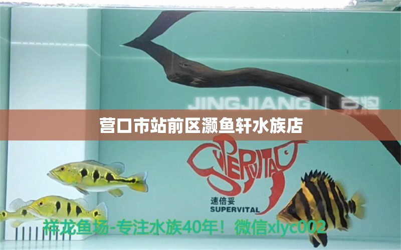 营口市站前区灏鱼轩水族店 全国水族馆企业名录