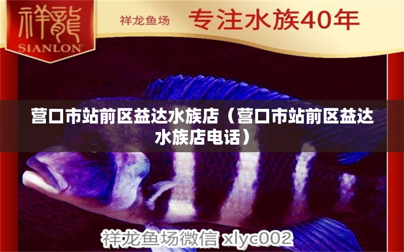 营口市站前区益达水族店（营口市站前区益达水族店电话）