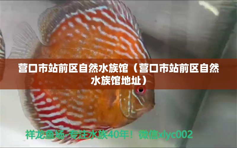 营口市站前区自然水族馆（营口市站前区自然水族馆地址）