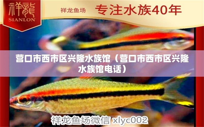 营口市西市区兴隆水族馆（营口市西市区兴隆水族馆电话） 全国水族馆企业名录