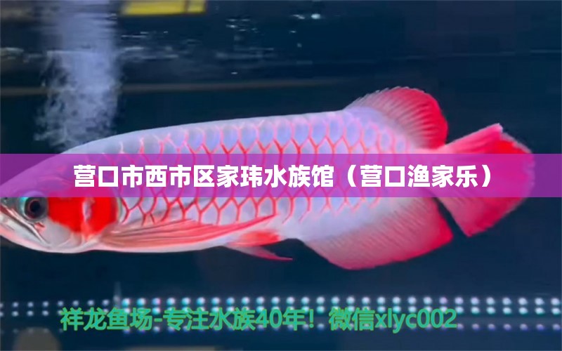 营口市西市区家玮水族馆（营口渔家乐）