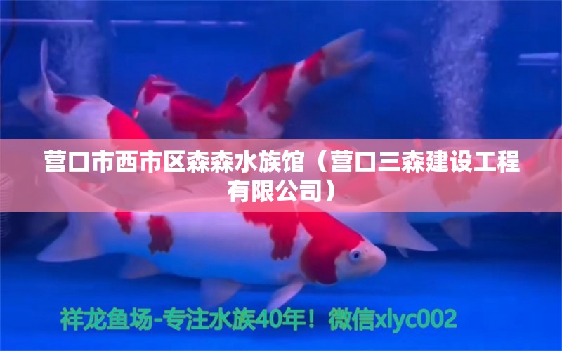 营口市西市区森森水族馆（营口三森建设工程有限公司）