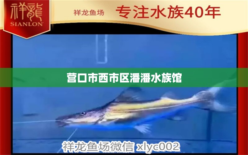 营口市西市区潘潘水族馆