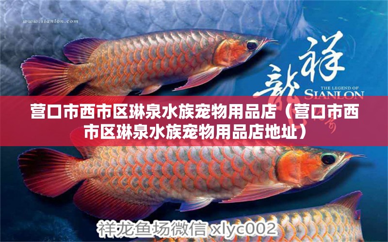 营口市西市区琳泉水族宠物用品店（营口市西市区琳泉水族宠物用品店地址）