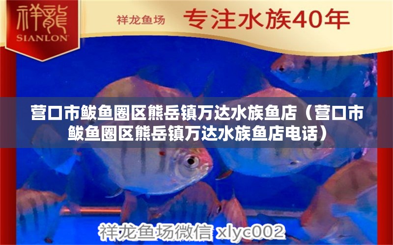 营口市鲅鱼圈区熊岳镇万达水族鱼店（营口市鲅鱼圈区熊岳镇万达水族鱼店电话）