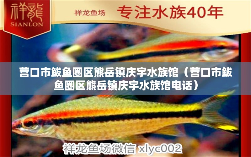 营口市鲅鱼圈区熊岳镇庆宇水族馆（营口市鲅鱼圈区熊岳镇庆宇水族馆电话） 全国水族馆企业名录