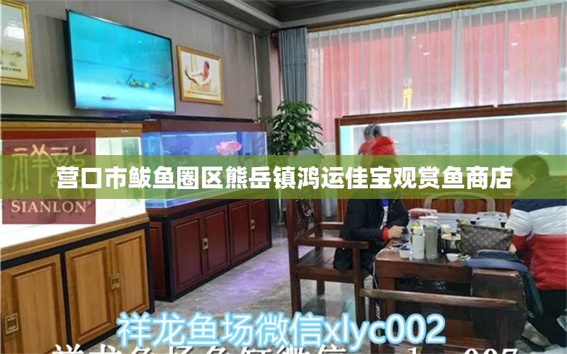 营口市鲅鱼圈区熊岳镇鸿运佳宝观赏鱼商店 全国水族馆企业名录 第1张