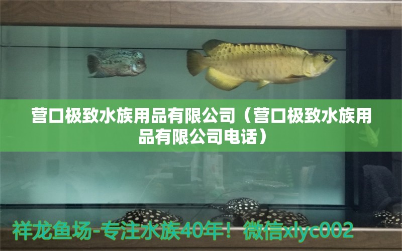 营口极致水族用品有限公司（营口极致水族用品有限公司电话）