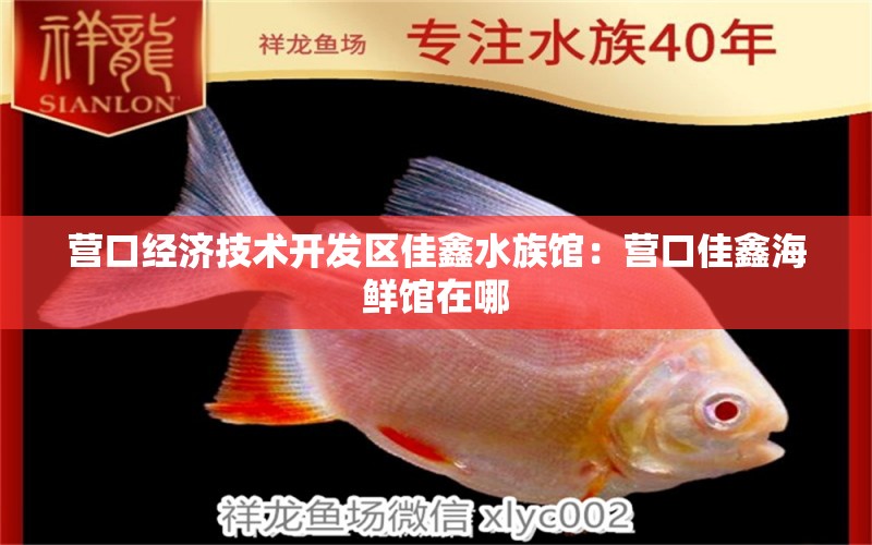 营口经济技术开发区佳鑫水族馆：营口佳鑫海鲜馆在哪