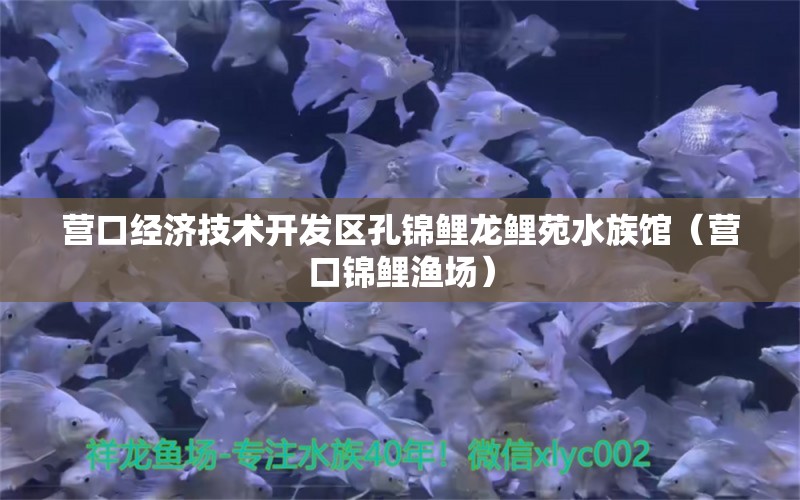 营口经济技术开发区孔锦鲤龙鲤苑水族馆（营口锦鲤渔场）