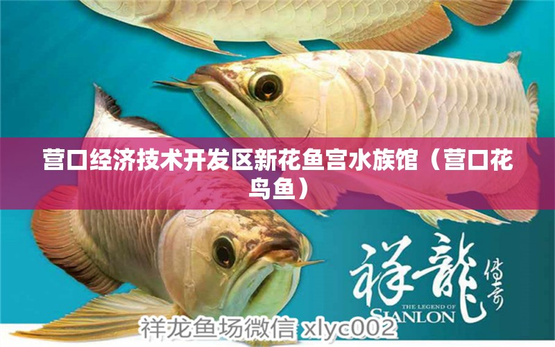 营口经济技术开发区新花鱼宫水族馆（营口花鸟鱼）