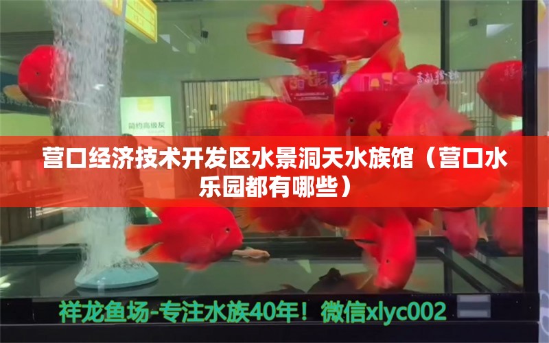 营口经济技术开发区水景洞天水族馆（营口水乐园都有哪些） 全国水族馆企业名录