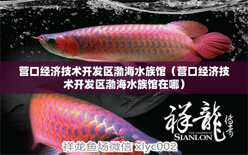 营口经济技术开发区渤海水族馆（营口经济技术开发区渤海水族馆在哪）