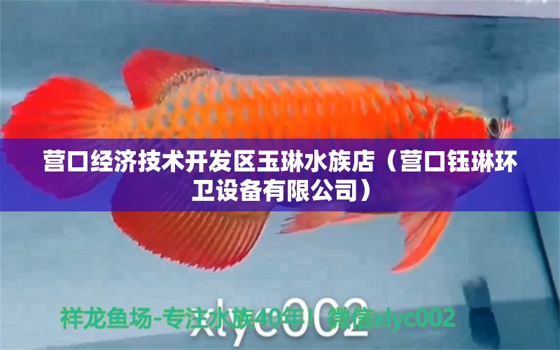 营口经济技术开发区玉琳水族店（营口钰琳环卫设备有限公司） 全国水族馆企业名录