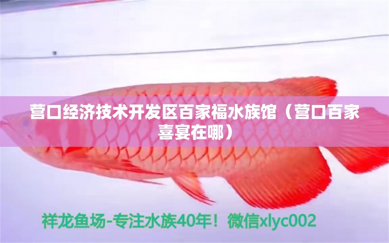 营口经济技术开发区百家福水族馆（营口百家喜宴在哪）