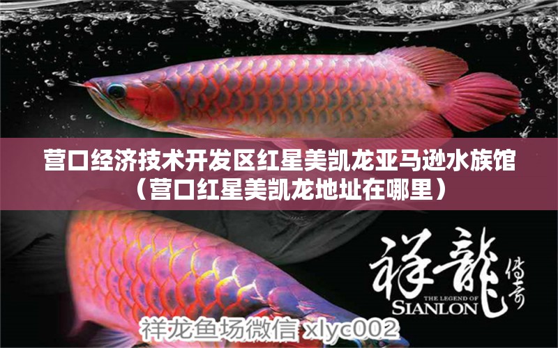 营口经济技术开发区红星美凯龙亚马逊水族馆（营口红星美凯龙地址在哪里）