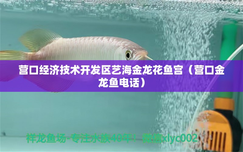 营口经济技术开发区艺海金龙花鱼宫（营口金龙鱼电话） 全国水族馆企业名录