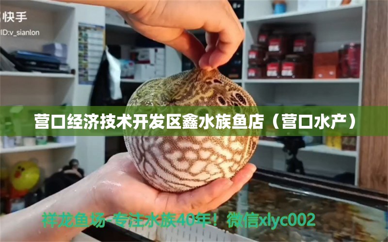 营口经济技术开发区鑫水族鱼店（营口水产）