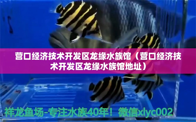 营口经济技术开发区龙缘水族馆（营口经济技术开发区龙缘水族馆地址）