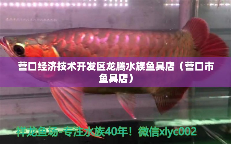 营口经济技术开发区龙腾水族鱼具店（营口市鱼具店） 全国水族馆企业名录