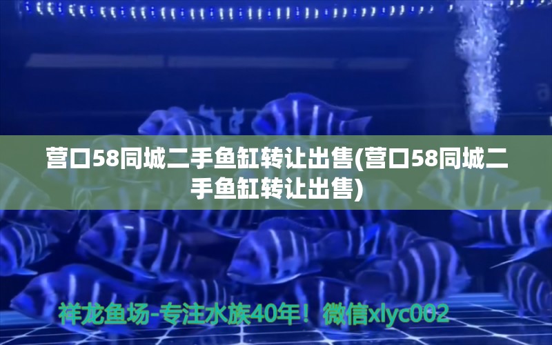 营口58同城二手鱼缸转让出售(营口58同城二手鱼缸转让出售) 黑桃A鱼