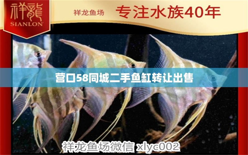 营口58同城二手鱼缸转让出售 水族问答 第1张