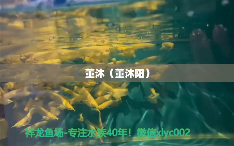 董沐（董沐阳） 全国水族馆企业名录