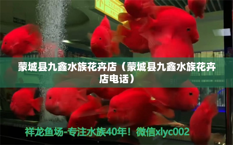 蒙城县九鑫水族花卉店（蒙城县九鑫水族花卉店电话）