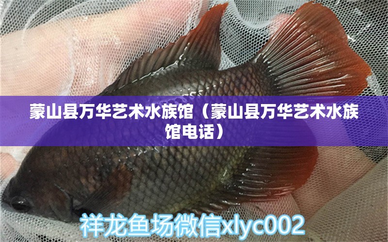 蒙山县万华艺术水族馆（蒙山县万华艺术水族馆电话） 全国水族馆企业名录