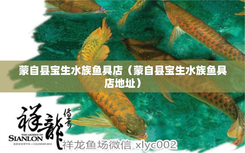 蒙自县宝生水族鱼具店（蒙自县宝生水族鱼具店地址） 全国水族馆企业名录