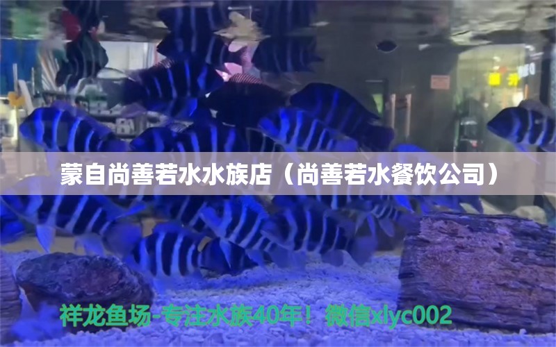 蒙自尚善若水水族店（尚善若水餐饮公司）