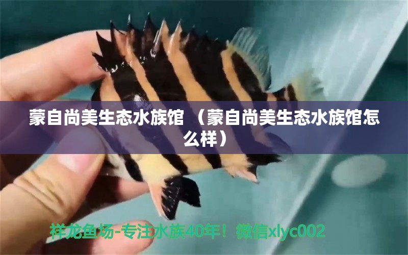 蒙自尚美生态水族馆 （蒙自尚美生态水族馆怎么样）