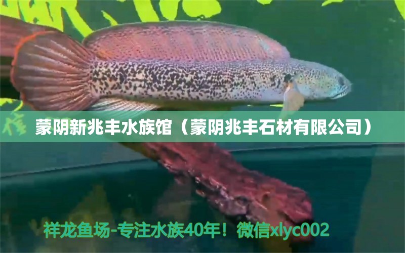 蒙阴新兆丰水族馆（蒙阴兆丰石材有限公司）