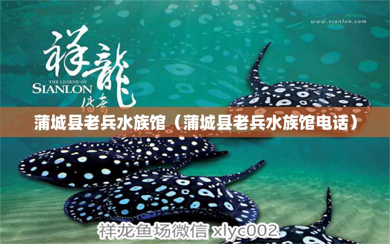 蒲城县老兵水族馆（蒲城县老兵水族馆电话）