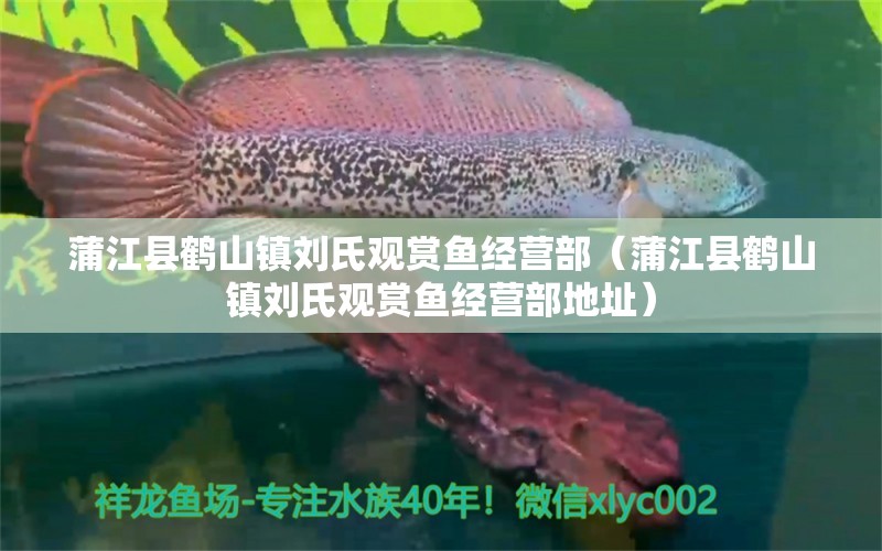 蒲江县鹤山镇刘氏观赏鱼经营部（蒲江县鹤山镇刘氏观赏鱼经营部地址） 全国水族馆企业名录