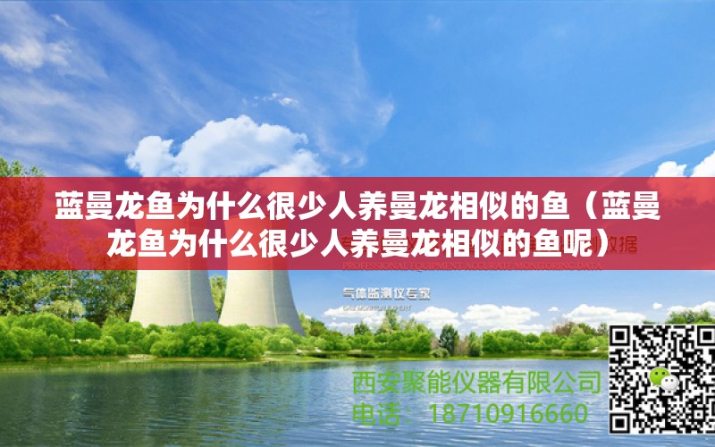 蓝曼龙鱼为什么很少人养曼龙相似的鱼（蓝曼龙鱼为什么很少人养曼龙相似的鱼呢） 观赏鱼市场（混养鱼）