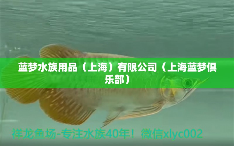 蓝梦水族用品（上海）有限公司（上海蓝梦俱乐部） 水族用品