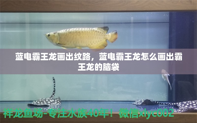 蓝电霸王龙画出纹路，蓝电霸王龙怎么画出霸王龙的脑袋 斑马狗头鱼