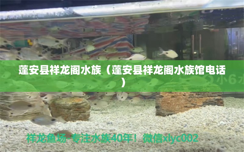 蓬安县祥龙阁水族（蓬安县祥龙阁水族馆电话） 全国水族馆企业名录