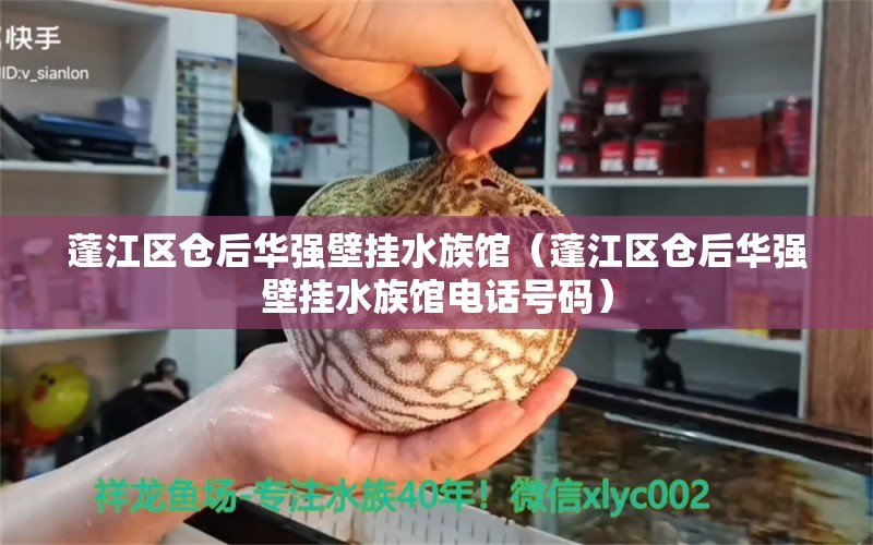 蓬江区仓后华强壁挂水族馆（蓬江区仓后华强壁挂水族馆电话号码） 全国水族馆企业名录