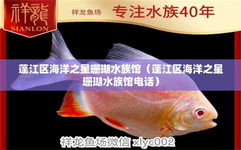 蓬江区海洋之星珊瑚水族馆（蓬江区海洋之星珊瑚水族馆电话） 全国水族馆企业名录