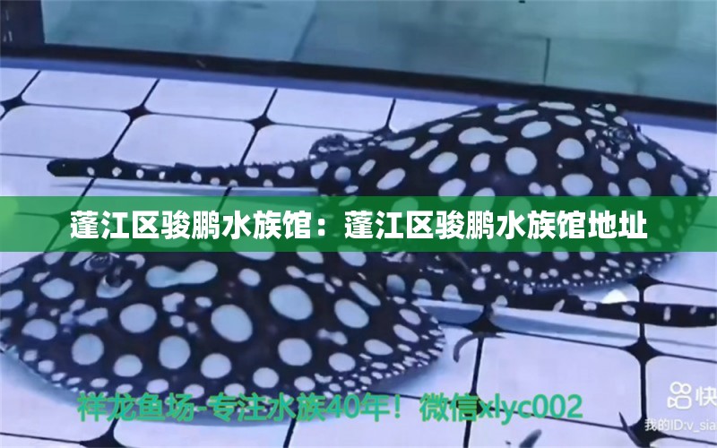 蓬江区骏鹏水族馆：蓬江区骏鹏水族馆地址