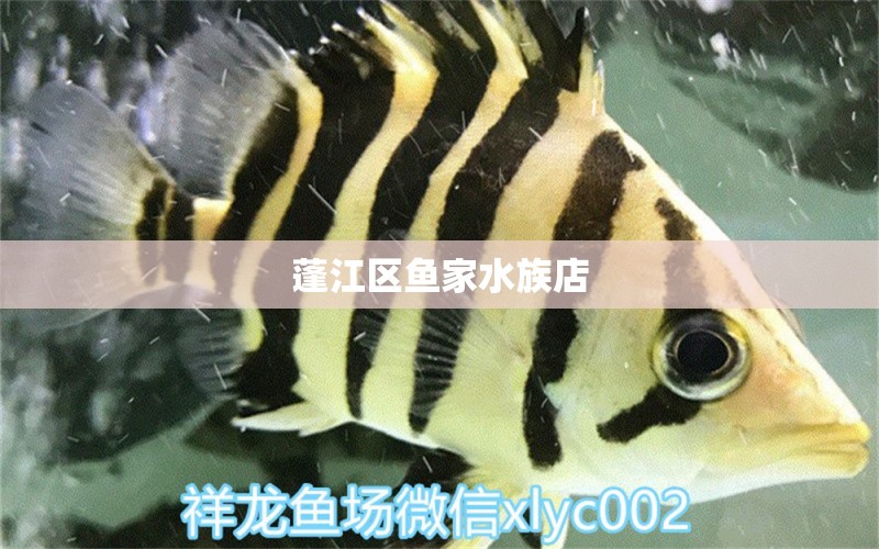 蓬江区鱼家水族店