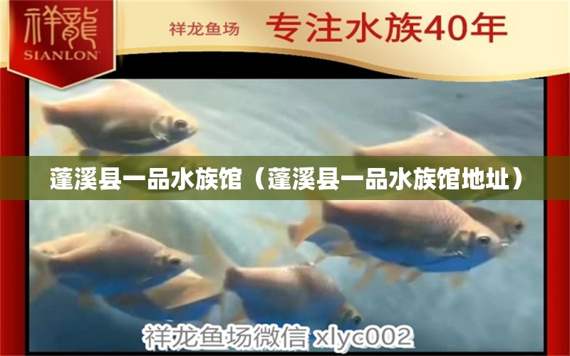 蓬溪县一品水族馆（蓬溪县一品水族馆地址）