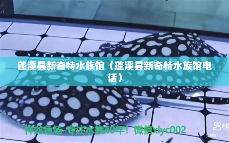 蓬溪县新奇特水族馆（蓬溪县新奇特水族馆电话） 全国水族馆企业名录