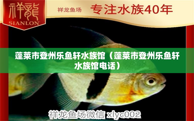 蓬莱市登州乐鱼轩水族馆（蓬莱市登州乐鱼轩水族馆电话）