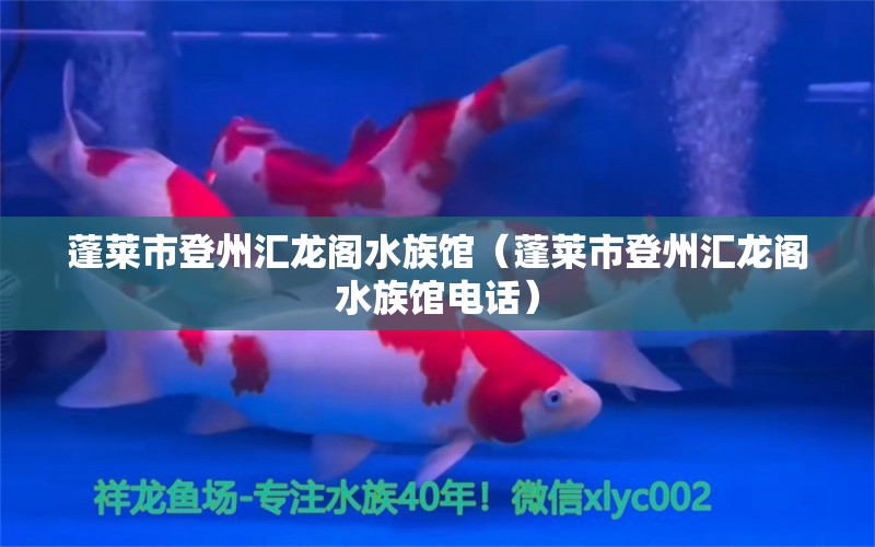 蓬莱市登州汇龙阁水族馆（蓬莱市登州汇龙阁水族馆电话）