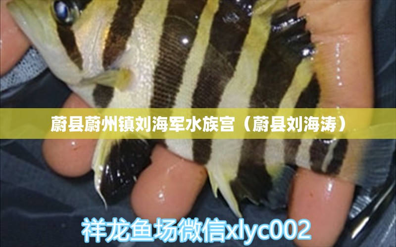 蔚县蔚州镇刘海军水族宫（蔚县刘海涛）