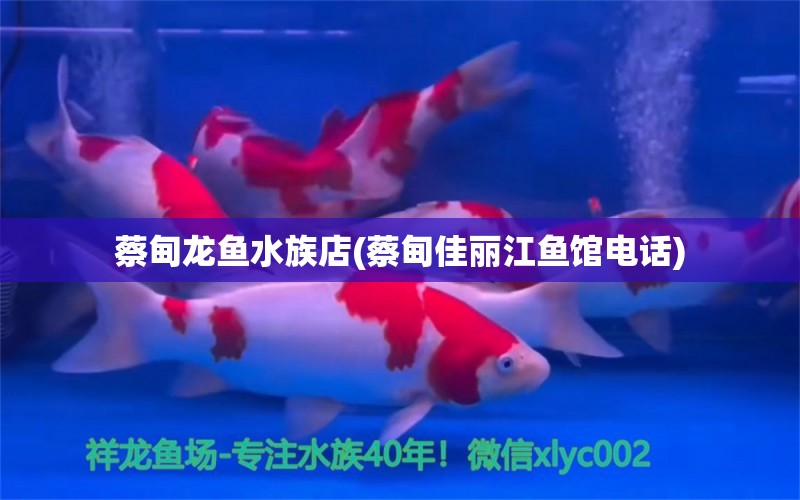 蔡甸龙鱼水族店(蔡甸佳丽江鱼馆电话)